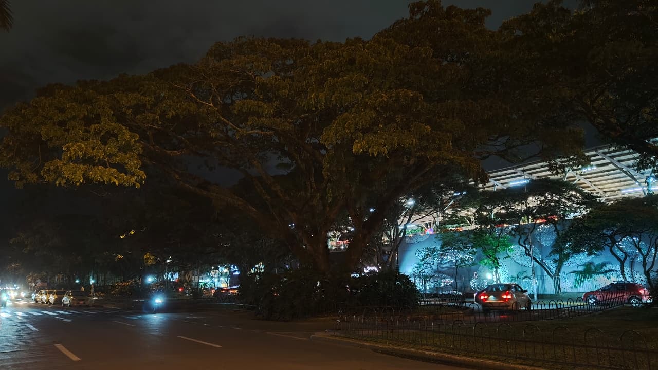 La zona permanece con iluminación parcial, mientras la comunidad espera una intervención que mejore la seguridad de ese corredor peatonal de Cali.