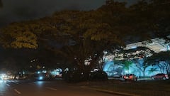 La zona permanece con iluminación parcial, mientras la comunidad espera una intervención que mejore la seguridad de ese corredor peatonal de Cali.