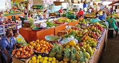 Para el tercer trimestre de este año, en el crecimiento anual del PIB desde la oferta, de los 12 sectores de la economía, solo el agrícola decreció (-1,4 por ciento). Los alimentos explicaron el 32 por ciento de la inflación mensual, impulsada por papas, frutas frescas, arroz, huevos y café.