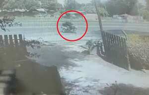 Llegada de los dos sospechosos de tiroteo en Balsámico, Cota.