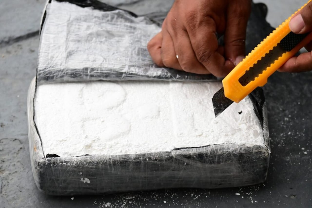 Las Fuerzas Armadas dieron un balance positivo en materia de incautación de droga.