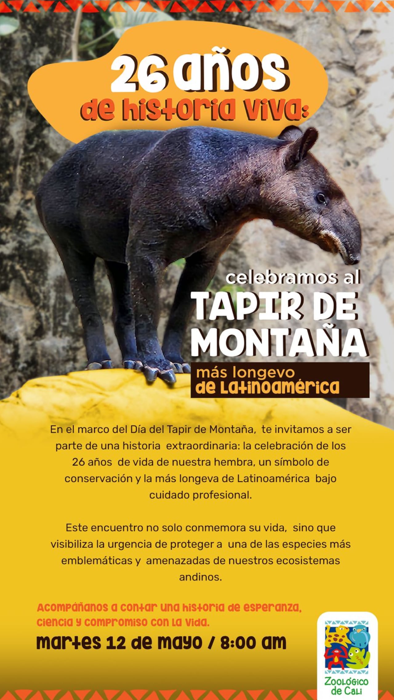 Sedona es la segunda tapir más longeva en el mundo.