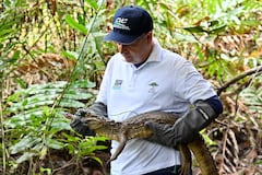 Marco Antonio Suárez, director general de la CVC.
