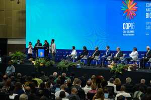 Jóvenes y niños hacen su intervención durante la instalación de la sesión plenaria de alto nivel de la COP16 . Foto Jorge Orozco/El País