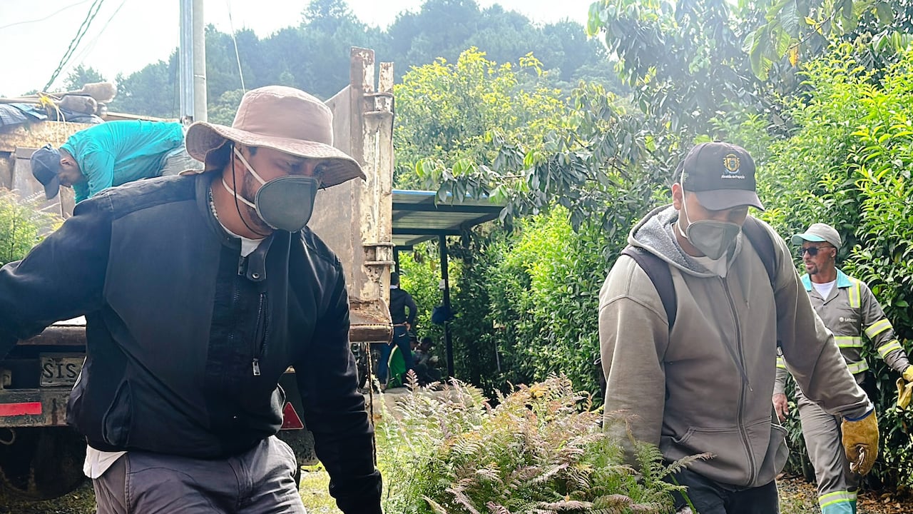 Estas acciones contribuyen a la recuperación de ecosistemas, al fortalecimiento de la biodiversidad y a la mejora de la calidad de vida de los habitantes, mediante procesos articulados entre instituciones, sector privado y comunidad.