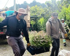 Estas acciones contribuyen a la recuperación de ecosistemas, al fortalecimiento de la biodiversidad y a la mejora de la calidad de vida de los habitantes, mediante procesos articulados entre instituciones, sector privado y comunidad.