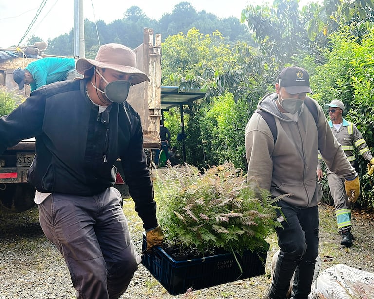 Estas acciones contribuyen a la recuperación de ecosistemas, al fortalecimiento de la biodiversidad y a la mejora de la calidad de vida de los habitantes, mediante procesos articulados entre instituciones, sector privado y comunidad.
