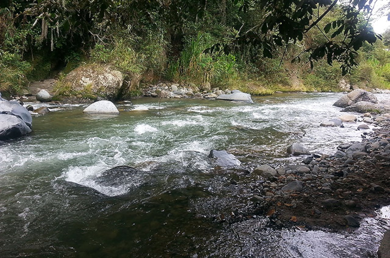 El río Guadalajara, de Buga, no ha sido contaminado por la empresa.