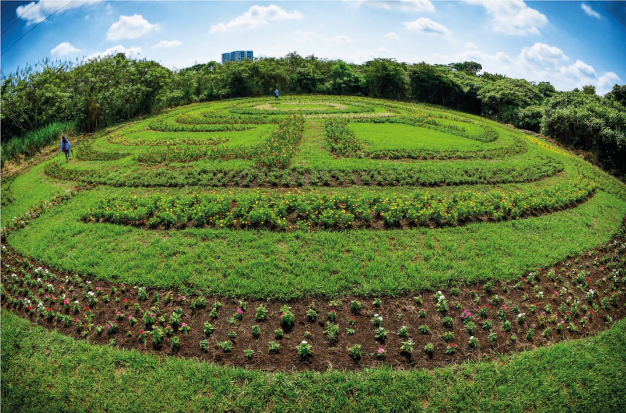 La obra del parque Corazón de Pance ) se desarrolla en 1 millón de metros cuadrados (100 hectáreas) destinados a la conservación, contemplación y recreación pasiva.
