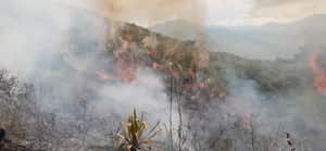 El incendio es controlado por unidades del Cuerpo de Bomberos de Cali.