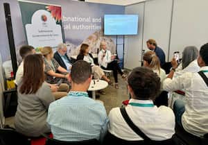 Convocatoria de Daños y Pérdidas organizada por la CGLU en la Zona Azul de la COP16