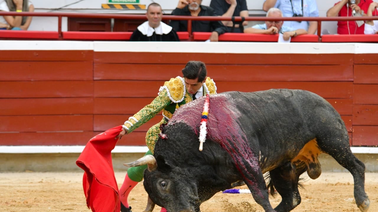 Muletazo del mexicano Luis David Adame, quien salió por la puerta grande de Cañaveralejo en la ultima de abono de la Feria.