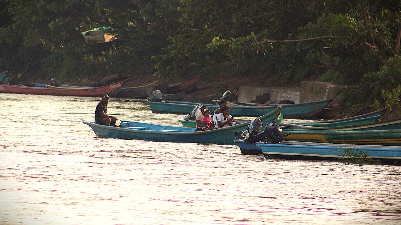 El 80 % del fruto cosechado es transportado por el río Mira, hasta las cabeceras municipales y luego llevado a las plantas extractoras.