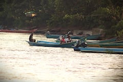 El 80 % del fruto cosechado es transportado por el río Mira, hasta las cabeceras municipales y luego llevado a las plantas extractoras.