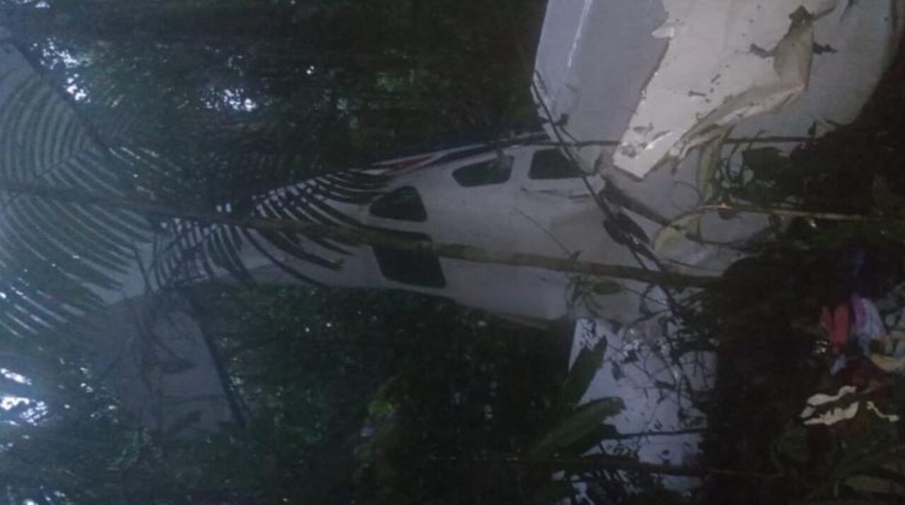 La avioneta apareció en Caquetá.