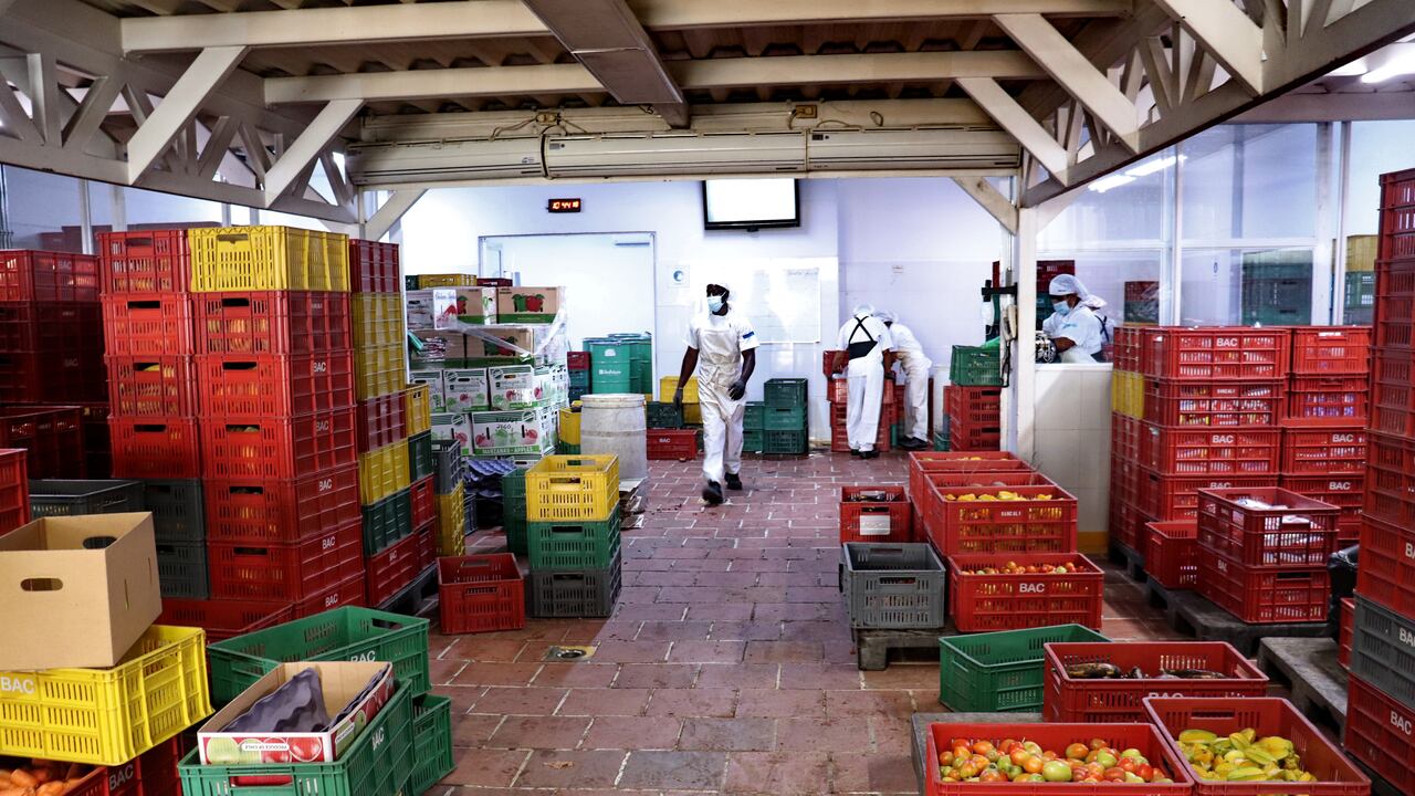 El Banco de Alimentos de Cali necesita donaciones con urgencia y llevará a cabo la versión 2024 de la ayudatón para recaudar alimentos y dinero.