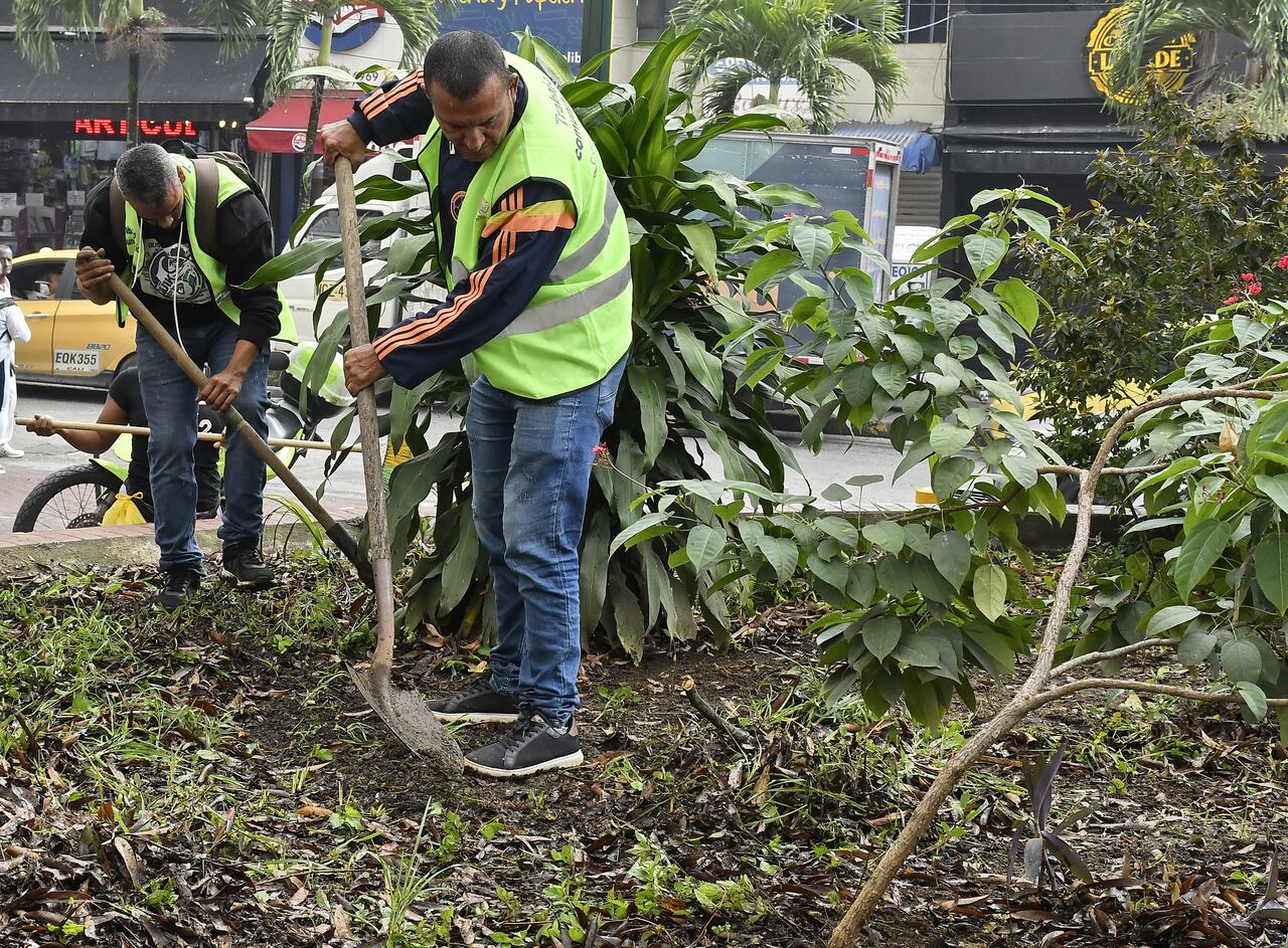 Personas que pagan con trabajos comunitarios , multas por infracciones al código de la Policía, realizaron trabajos en el parque de santa rosa en el centro de Cali. Fotos Raúl Palacios / El País.