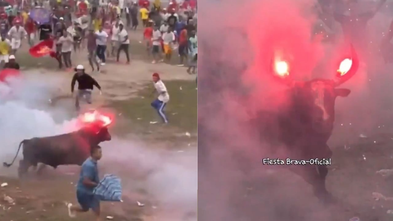Maltrato animal en corraleja en Sabanalarga.