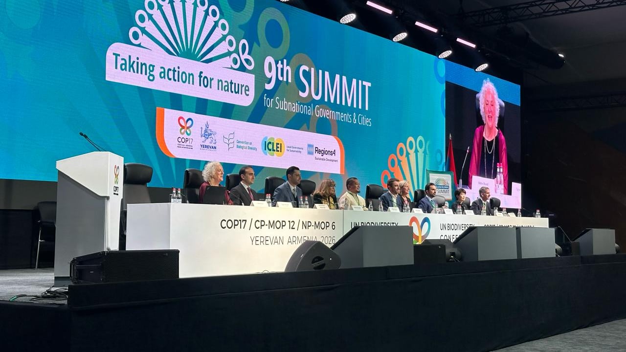 Cali estuvo presente en el inicio de la COP17 en Armenia.