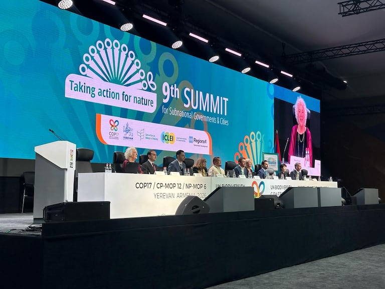 Cali estuvo presente en el inicio de la COP17 en Armenia.