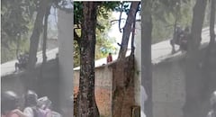 La Policía desplegó un operativo en Popayán tras la fuga masiva registrada en la carceleta Laura Valencia y confirmó la recaptura de dos de los internos.