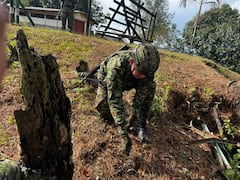 Instalaciones de la escuela de la vereda La Palma, corregimiento de Ortega, donde 25 niños asisten diariamente a clases y permanecen durante su jornada escolar.