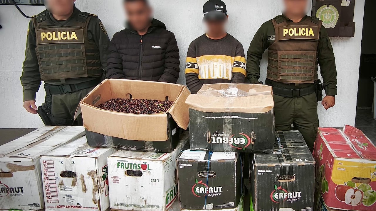En estas cajas eran transportados los frutos silvestres por una de las vías de la zona rural de Puracé, Cauca.