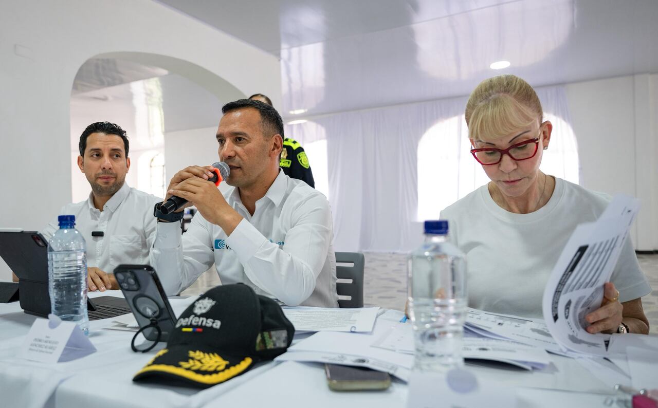 Consejo de seguridad realizado en Palmira.