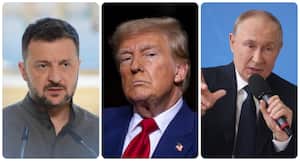 Volodimir Zelenski, presidente de Ucrania, Donald Trump y Vladimir Putin