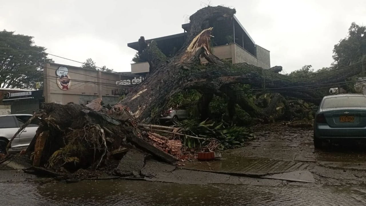 Lluvias en Palmira.