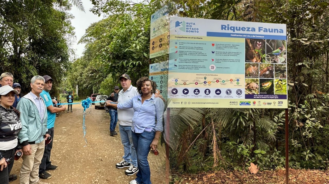 Ruta Río Bitaco Bonito: el nuevo sendero ecológico que invita a descubrir el Valle del Cauca