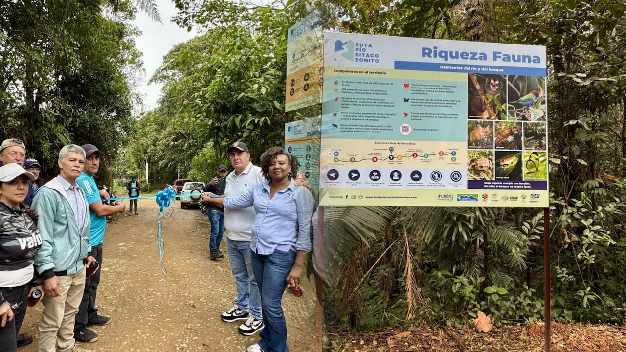Ruta Río Bitaco Bonito: el nuevo sendero ecológico que invita a descubrir el Valle del Cauca