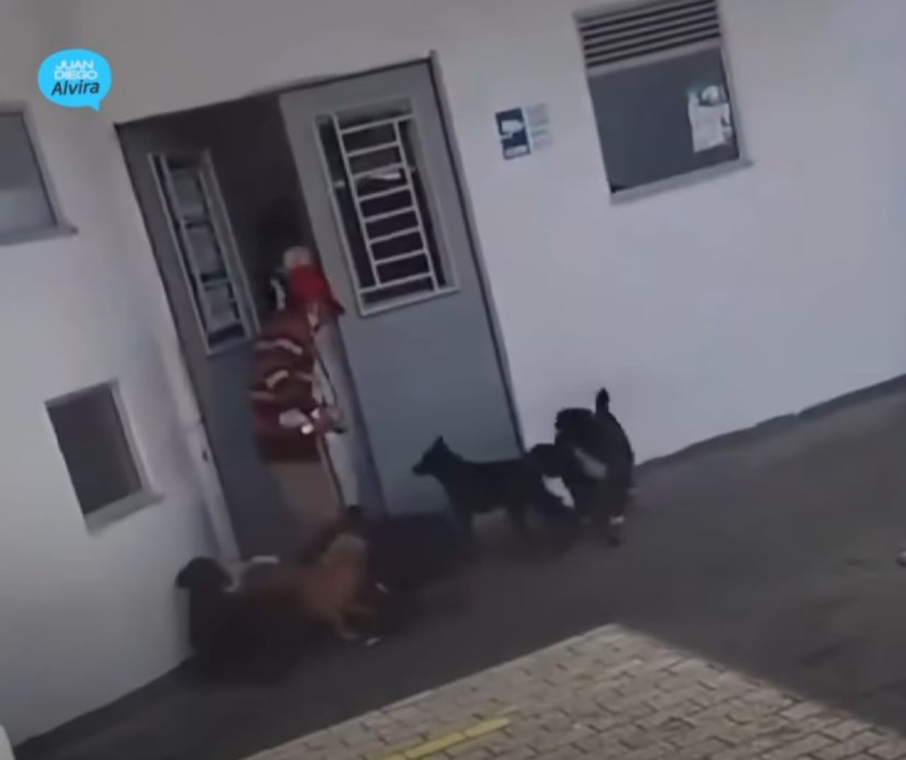 Don Omar tiene 70 años, y cuida de 12 peluditos en un pequeño cambuche en Pereira.