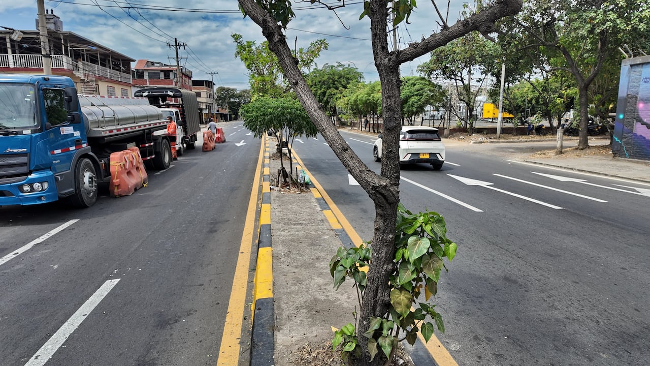 Las labores en la avenida Ciudad de Cali incluyen recuperación de la malla vial, construcción de andenes y obras complementarias para mejorar la movilidad.