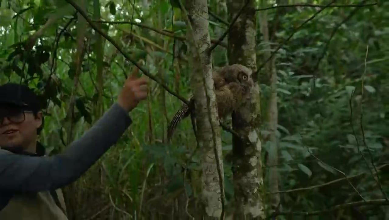 La liberación se realizó en el Parque de la Biodiversidad COP 16.