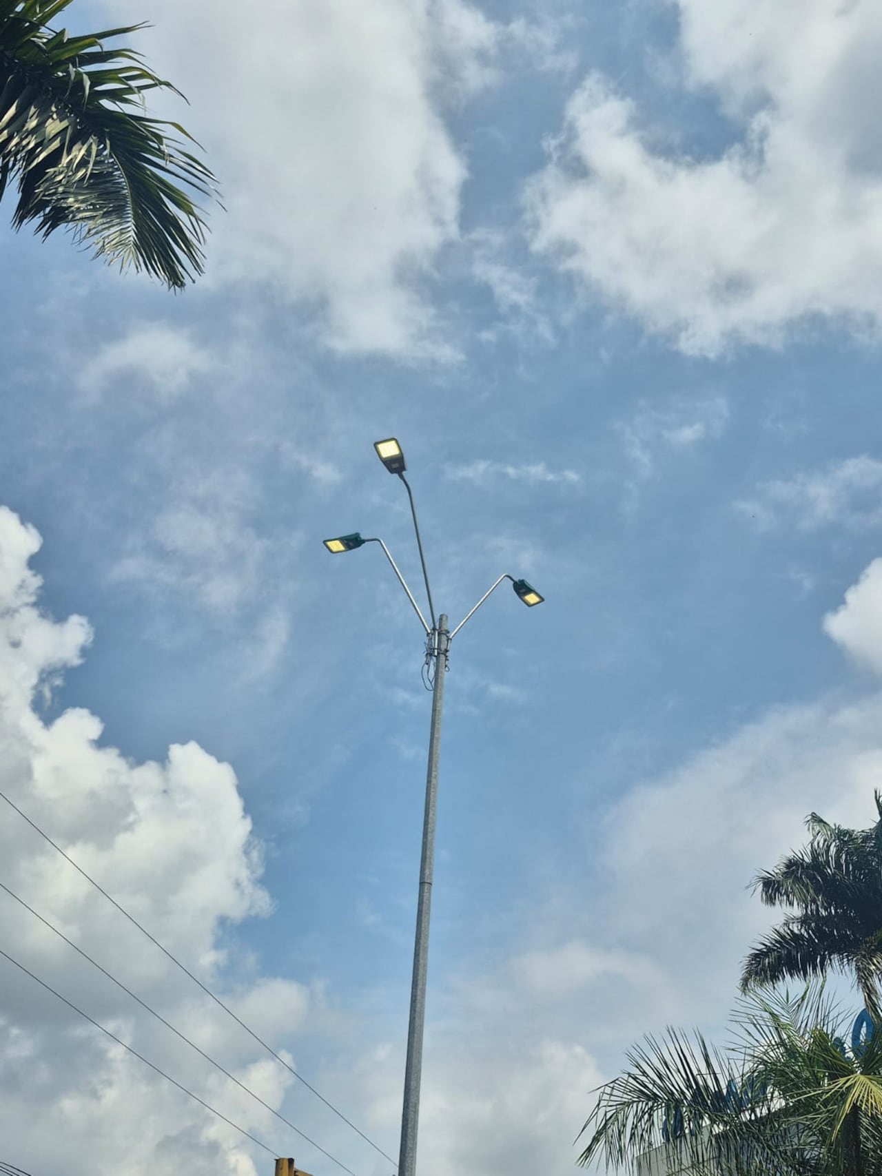 La intervención incluyó revisión de luminarias, despeje de ramas y tensión del circuito eléctrico para recuperar la visibilidad nocturna.