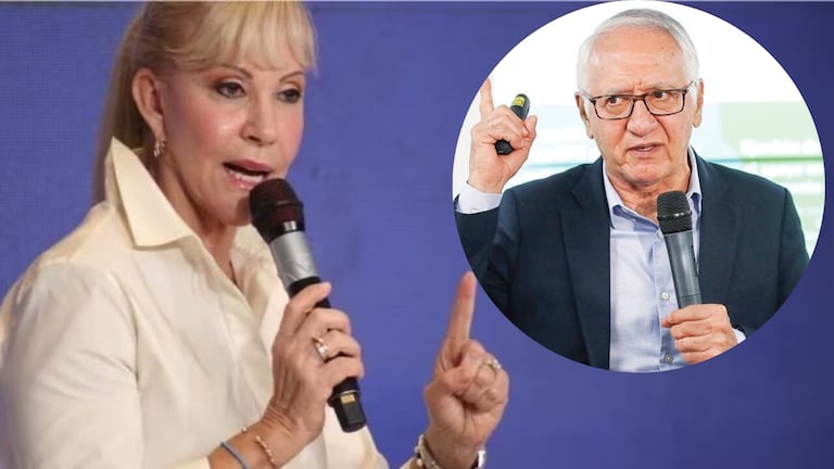 Dilian Francisca Toro cuestionó los bajos recursos girados para la salud.