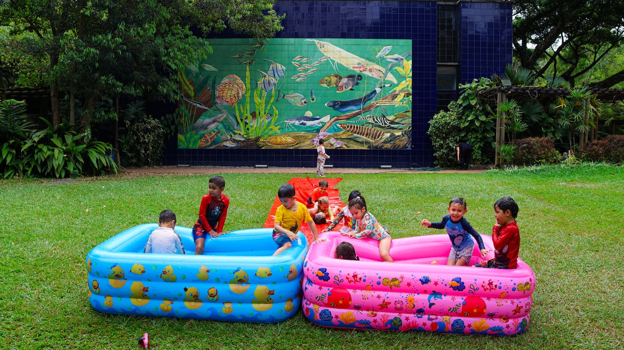 El Zoológico de Cali cuenta con las Zoovacaciones, un programa recreativo y educativo diseñado para que niños y niñas entre los 4 y los 10 años vivan una temporada inolvidable, rodeados de naturaleza, ciencia, juego y aventura.