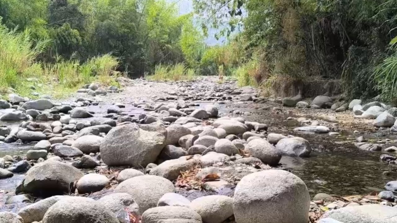 El río Desbaratado corre entre los municipios Florida y Miranda. Sirve de límite entre los departamentos del Valle y el Cauca