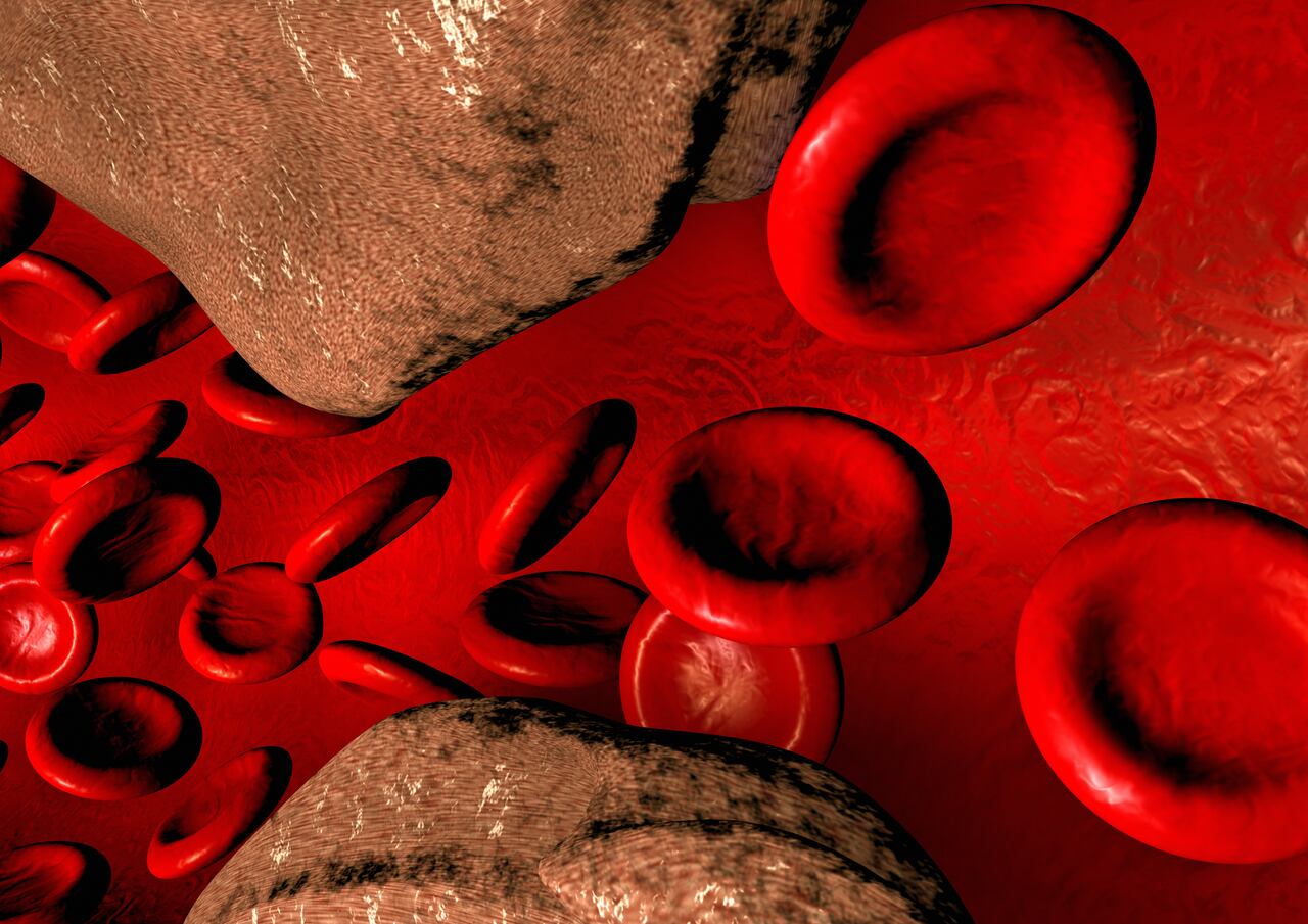 Mantener una dieta balanceada contribuye en limpiar la sangre.