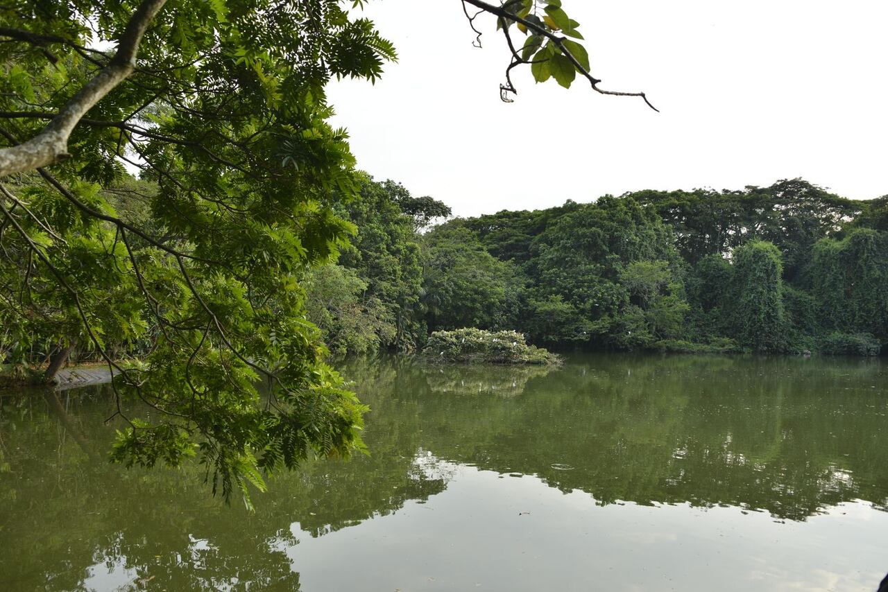 Biodiversidad del Valle del Cauca.