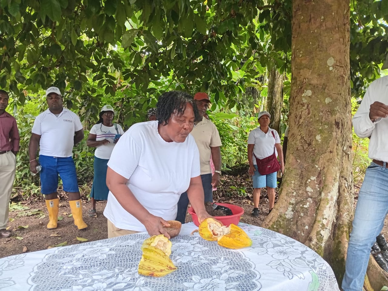 Gira ‘Mi vida es el campo’, liderada por la Organización de las Naciones Unidas para la Alimentación y la Agricultura, FAO, y la Agencia de Renovación del Territorio, ART, en Iscuandé y El Charco, Nariño.