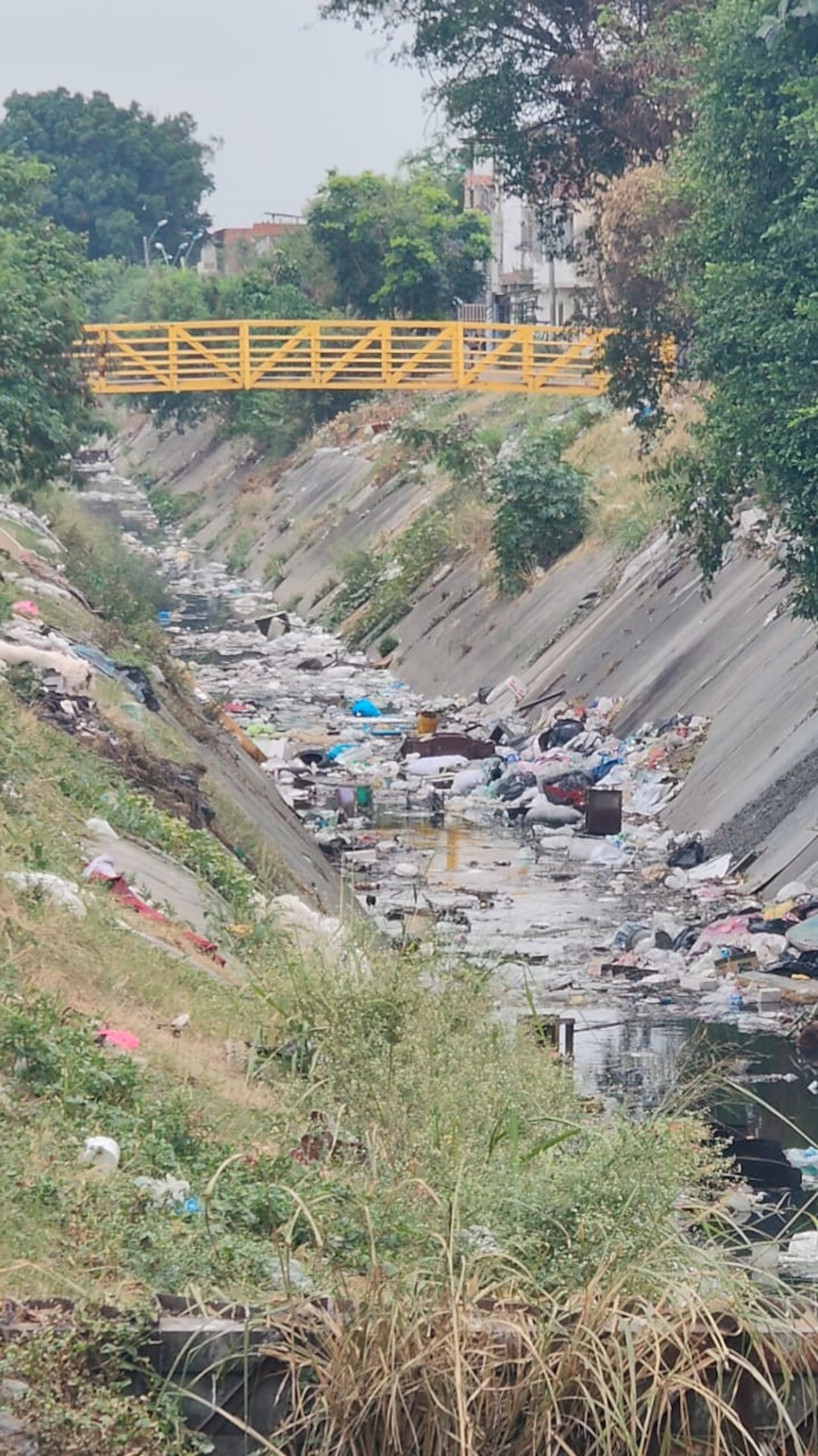 La acumulación de desechos en los separadores cercanos a la Galería Santa Elena mantiene la preocupación de comerciantes, visitantes y residentes que transitan por la zona.