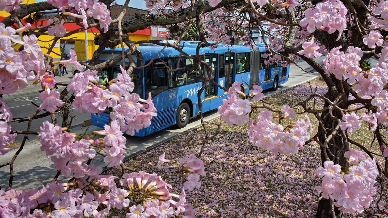 El presidente de Metrocali, Óscar Ortiz, sostuvo que está listo el cronograma para poner en marcha el plan de salvamento del sistema de transporte masivo, MÍO, amenazado hoy por una severa crisis estructural. Fotos Raúl Palacios / El País / 23 de Junio del 2023 Cali.