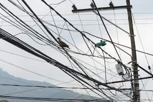 Cali: Informe red, cableado de Cali, telaraña, alumbrado público.