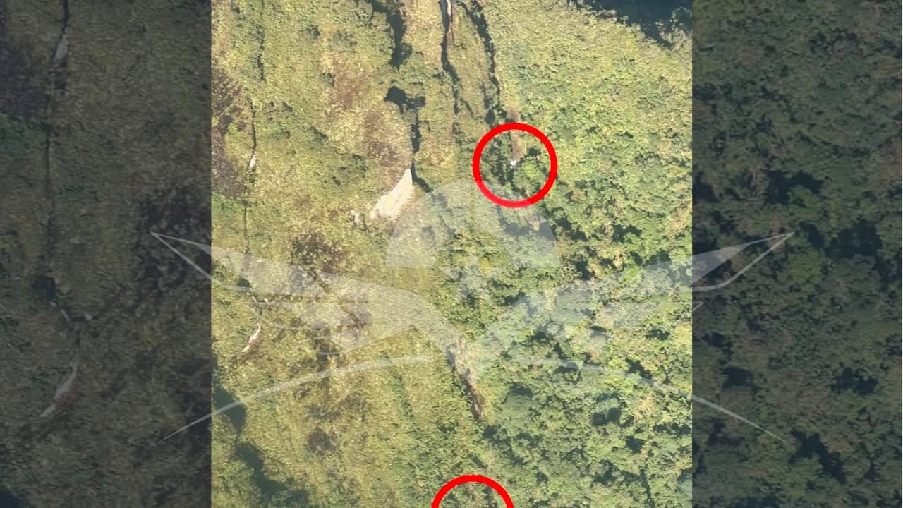 Fuerza Aérea habría localizado avioneta reportada como desaparecida durante el pasado fin de semana.