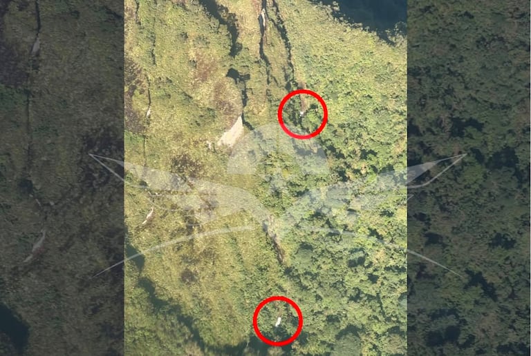 Fuerza Aérea habría localizado avioneta reportada como desaparecida durante el pasado fin de semana.
