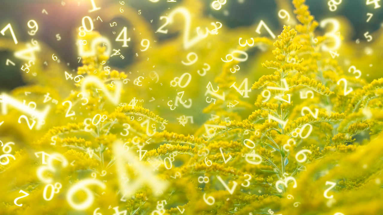 Conozca los pasos esenciales para activar los números de Grabovoi y cómo mantener una mentalidad positiva durante el proceso.