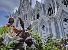 Domingo de Ramos en Cali: así se vivió la tradicional procesión en la ciudad; conmovedora bendición del arzobispo
Con la procesión tradicional del Domingo de Ramos comienza la Semana Santa. Bendición de ramos con las palabras del arzobispo de Cali, Mons. Luis Fernando Rodríguez. Fotos Raúl Palacios / El Pais.