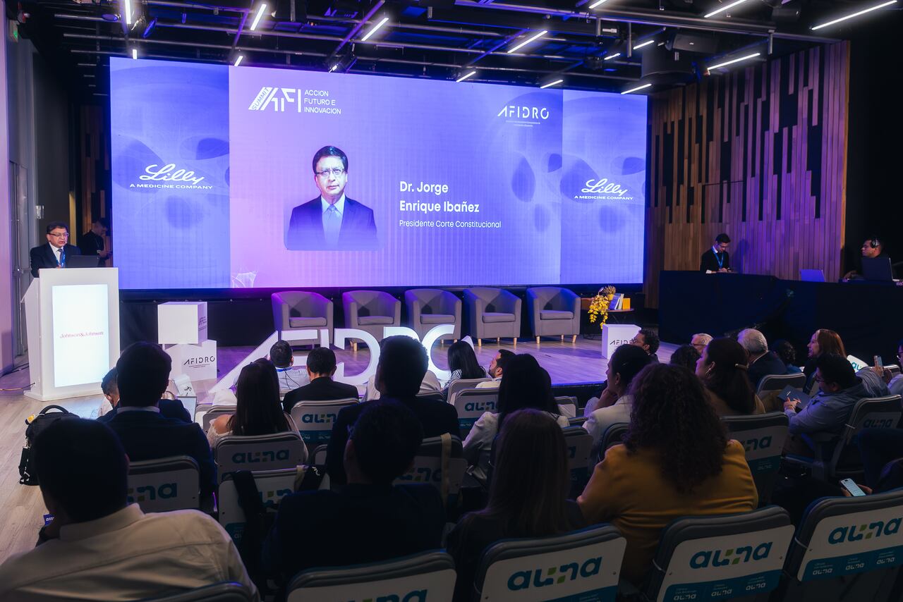 Ibáñez recalcó que la dispensación de medicamentos es una obligación esencial del sistema y no debe verse afectada por demoras o trámites administrativos.